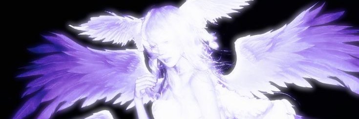 lori banner
