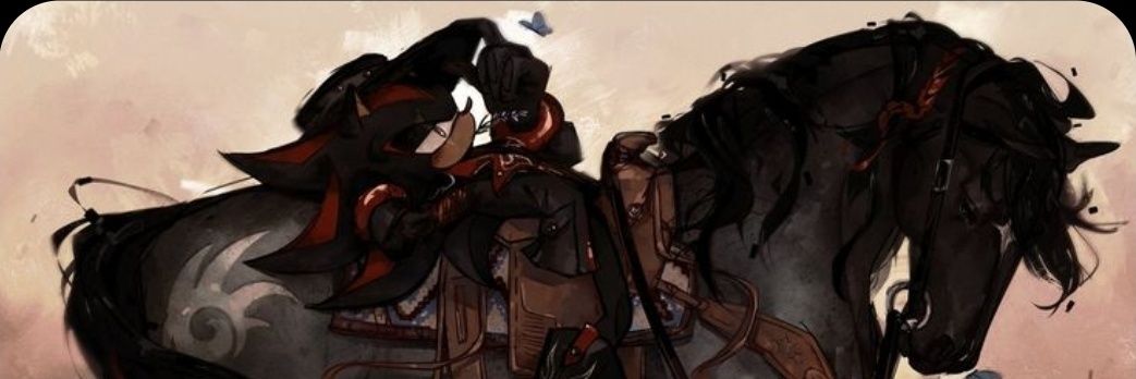 comet banner