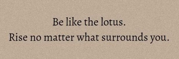 EeShi💕💅 banner