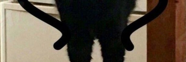 YEARNFORMIKA's profile banner image