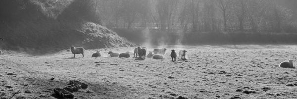 MidDevonGazette Profile Banner