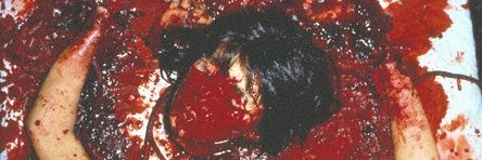 bannedesire's profile banner image