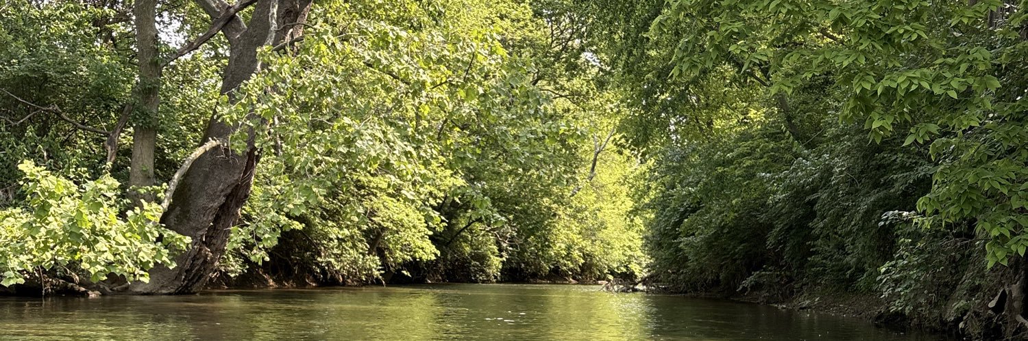 SwingTradeKaleb banner