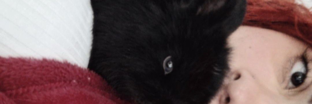 HugoMerces40089's profile banner image