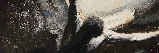 ☠︎︎ ⋆₊ ♱ banner