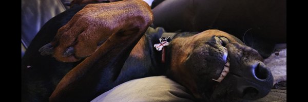 nikkiloumaz Profile Banner