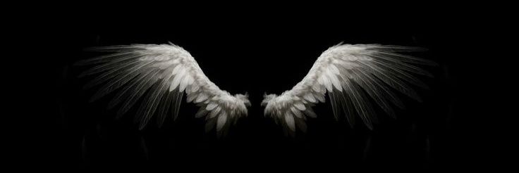 alihslw's profile banner image