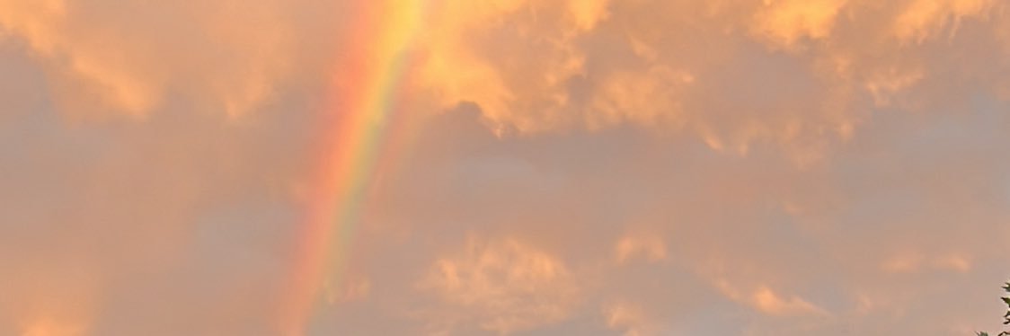 Fatma128806's profile banner image