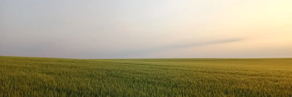 tedetussi's profile banner image
