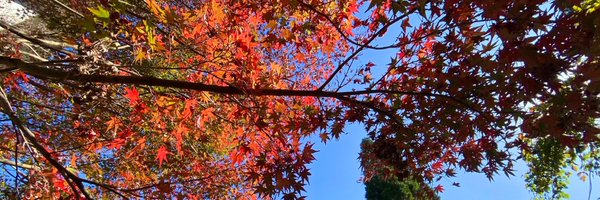 PaulaWatso29331's profile banner image