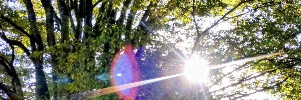 33_grace126's profile banner image