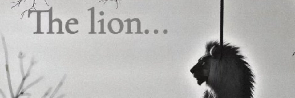 V (-17/20kg) banner