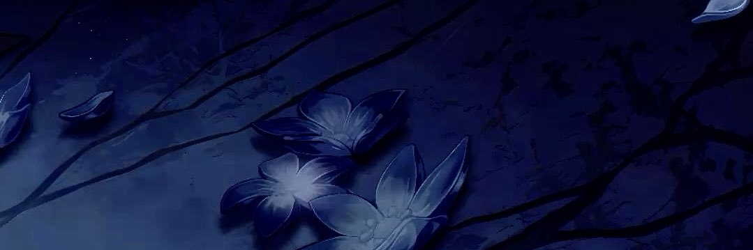 Haven || shedtwt banner