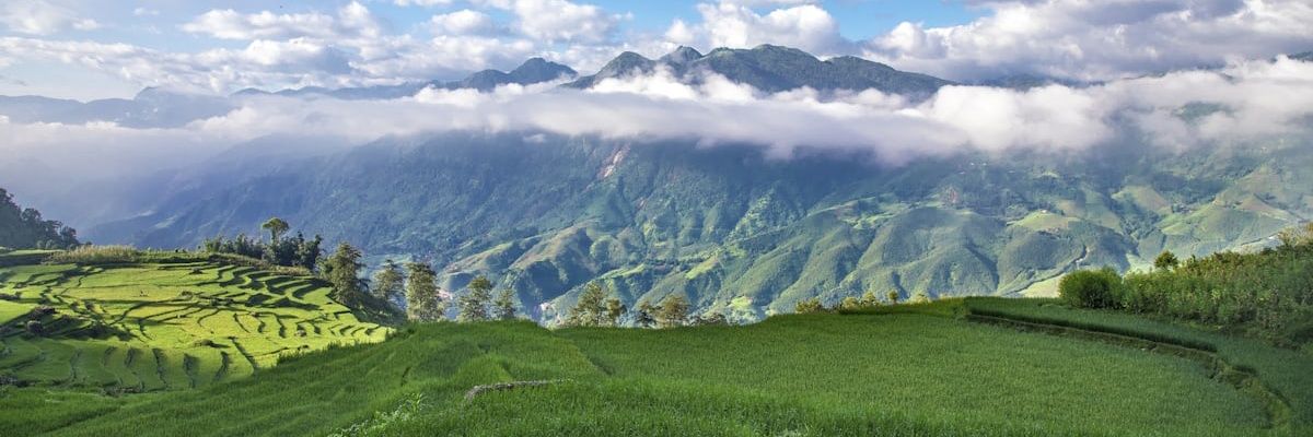 PEAK MCU FILMS NEWS banner