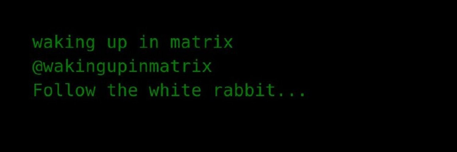 WakingUpInMatrix banner