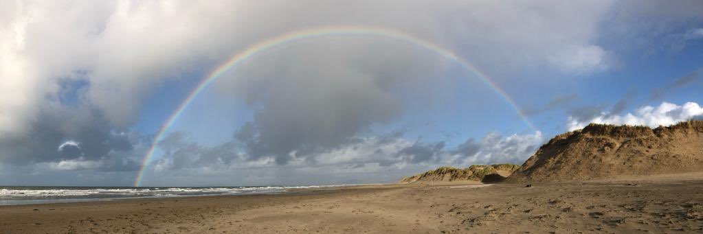 david vickers banner