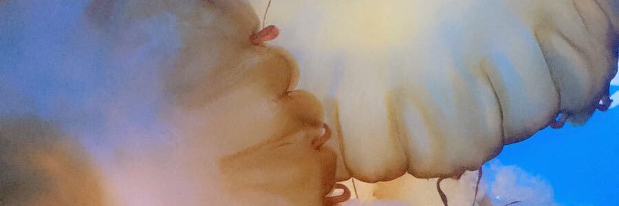 JitSandhu's profile banner image