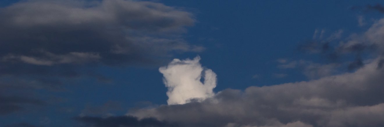 cielcat banner