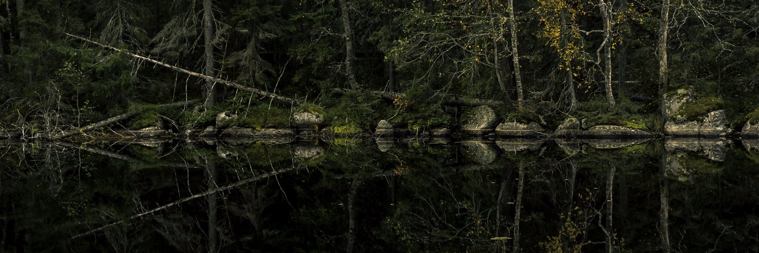 Martin Hallmann banner