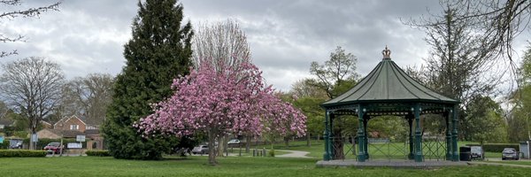 Ms_S_Howard Profile Banner