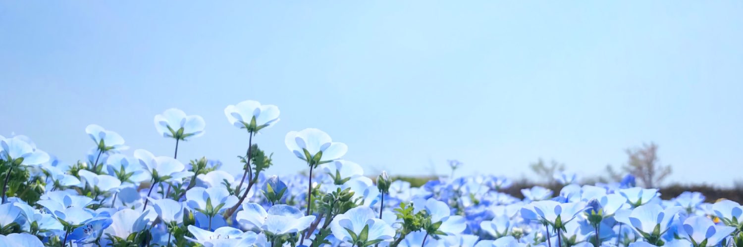 MAHIRO SUPPORT🦋 banner