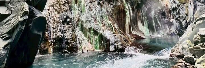 Cathy & Hector banner