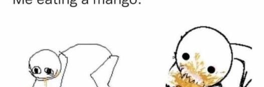 Mango banner
