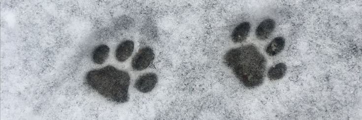 0catz's profile banner image