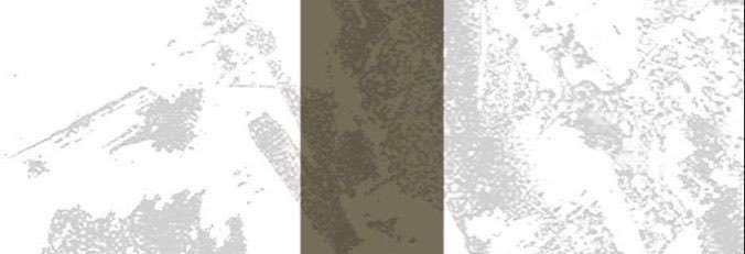 alperlenk's profile banner image