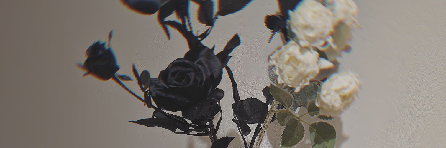 nemui_ch3cl's profile banner image