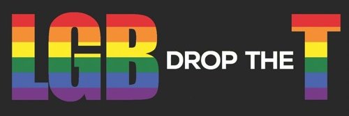 Commentary Bi Girl GC banner