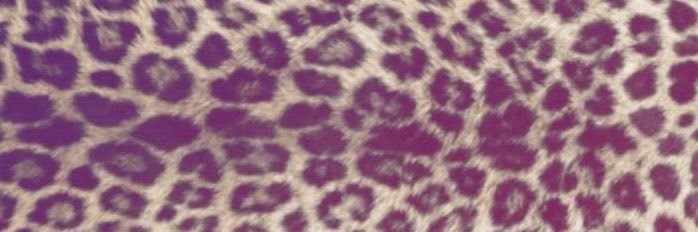idk1dcq's profile banner image