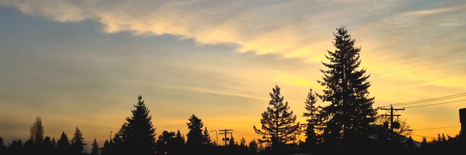 kat.in the hat banner