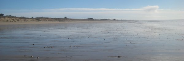 adrianpearce Profile Banner