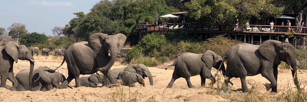 Jock Safari Lodge banner