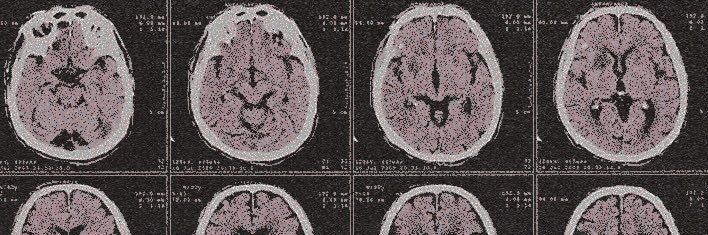 𝑙𝑒͟𝑛͟𝑛͟𝑜𝑛. banner