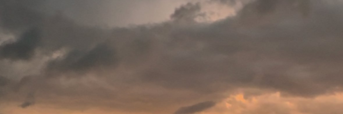 Rufusbun's profile banner image