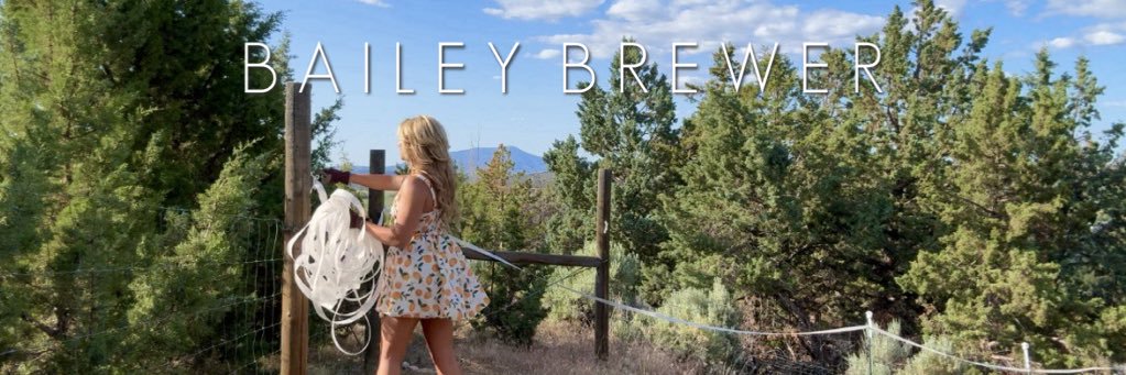 Bailey Brewer banner