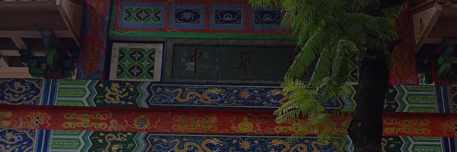 🦁ParDeLeos 420 🍀 SW🦁 banner