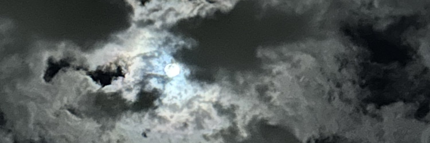 Jasmine banner