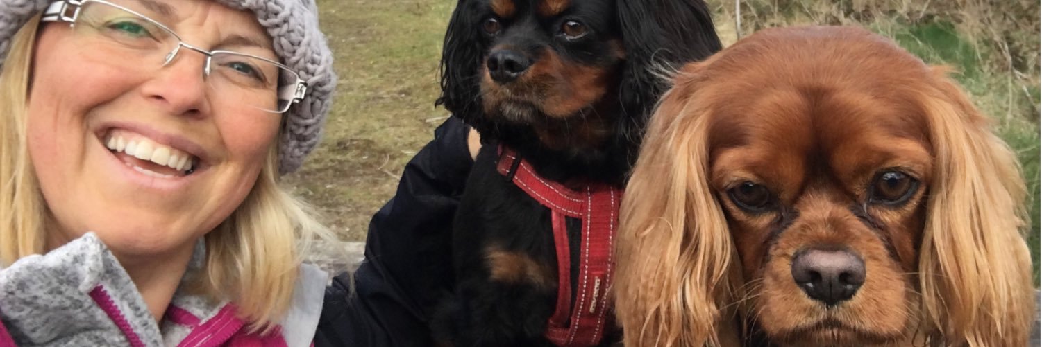 Carolinematt's profile banner image