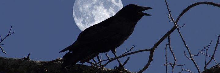 ᴊ. ᴄᴜᴇʀᴠᴏ ᴛ. banner