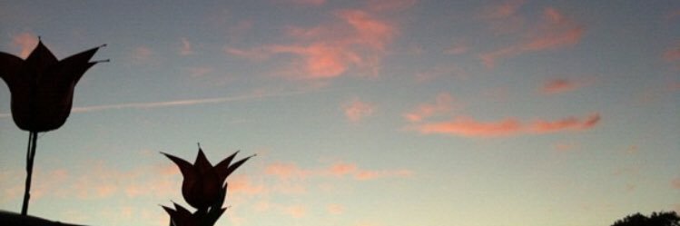 Meera Patel banner