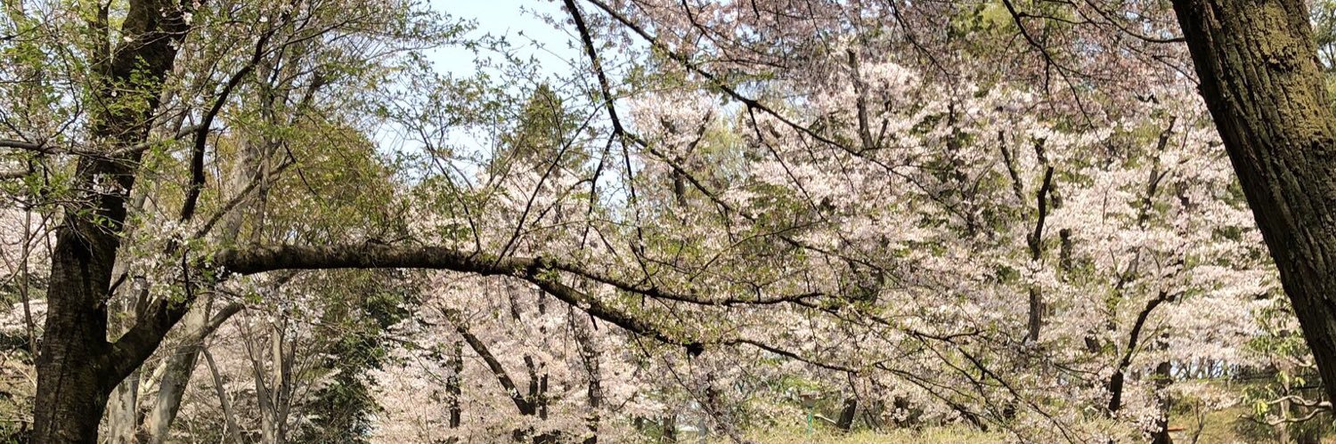 bob_jun's profile banner image