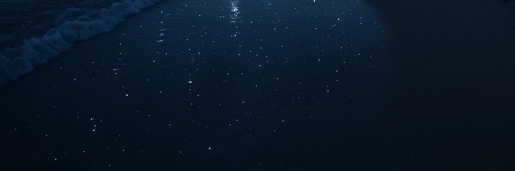 moonflower★ banner