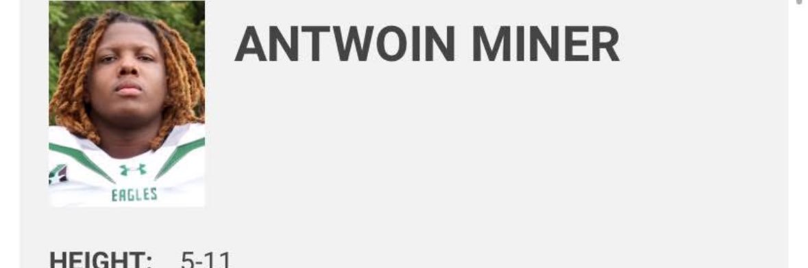 Antwoin Miner banner