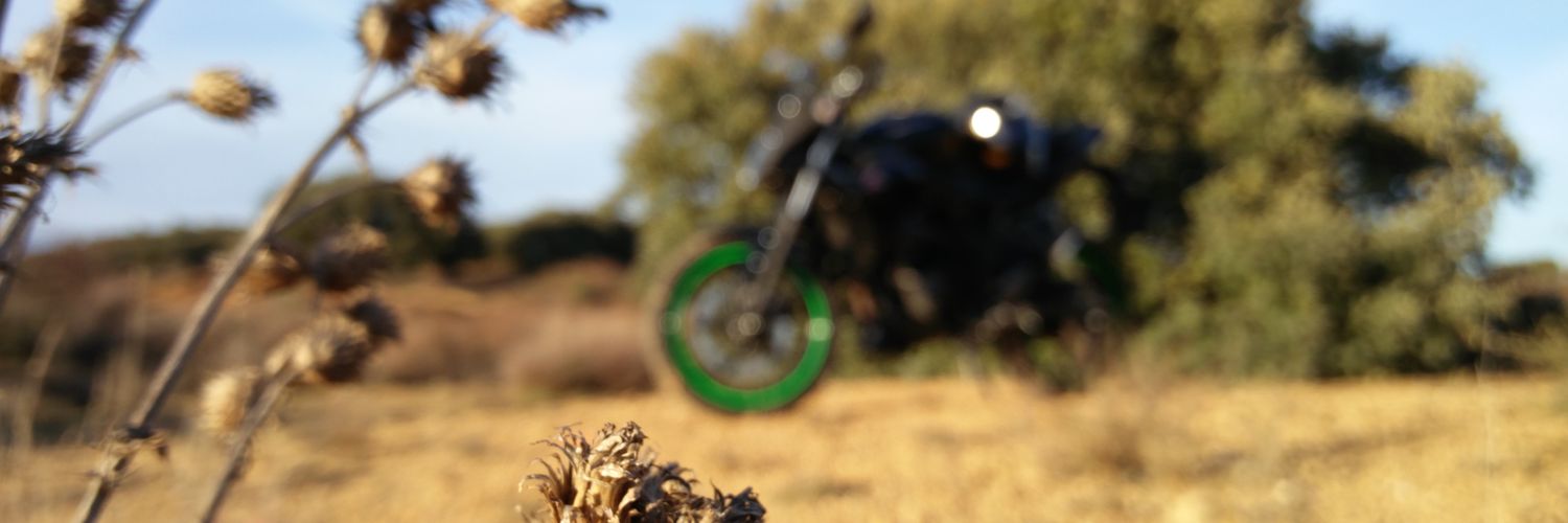 DavidRdgzLopez's profile banner image