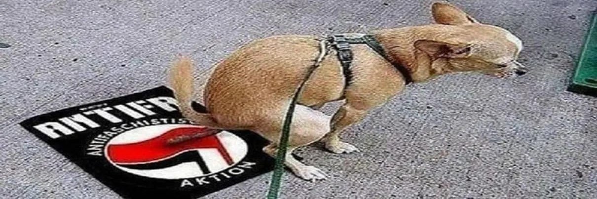 Fantasma do Fascismo banner