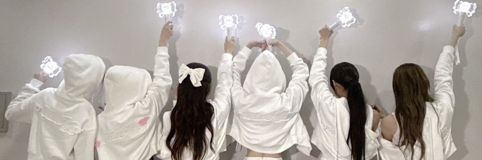 🐰 banner
