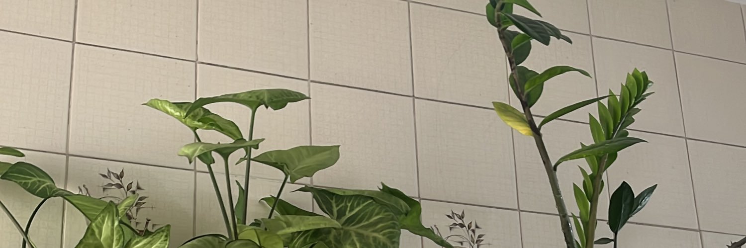 Balusantanaa's profile banner image